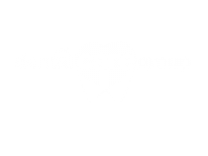 The Dental Care Group Kids